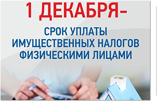 1 декабря 2024 года истекает срок уплаты имущественных налогов физическими лицами за 2023 год